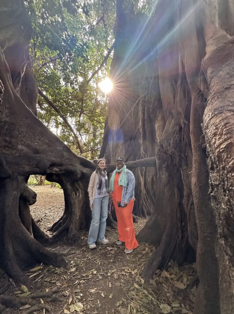 Captura de Pantalla 2026 04 01 a la(s) 2.55.23 p.m.